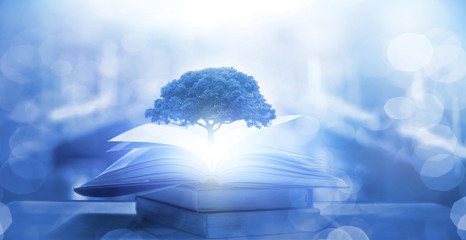 纽约市可能会成为第一个游戏者：在赢得民主党小学的11岁Zohran Mamdani之前的几年