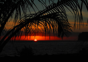 纽约市可能会成为第一个游戏者：在赢得民主党小学的11岁Zohran Mamdani之前的几年