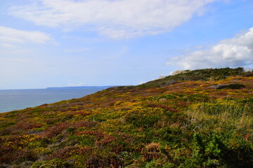 纽约市可能会成为第一个游戏者：在赢得民主党小学的11岁Zohran Mamdani之前的几年